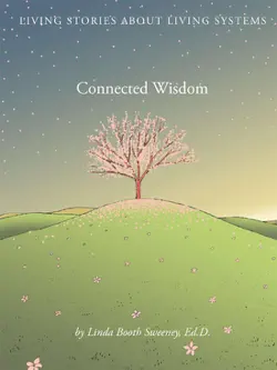 connected wisdom book cover image