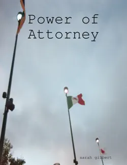 power of attorney book cover image