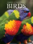 Birds synopsis, comments