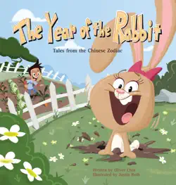 the year of the rabbit book cover image