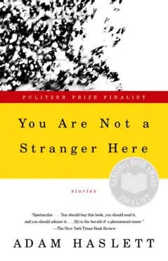 you are not a stranger here book cover image