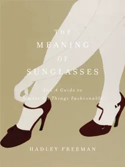 the meaning of sunglasses book cover image