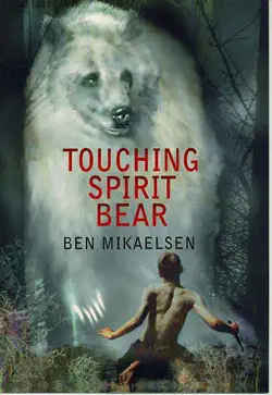 touching spirit bear book cover image