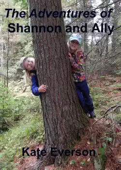 the adventures of shannon and ally book cover image