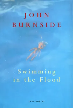 swimming in the flood book cover image