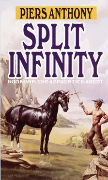 split infinity book cover image