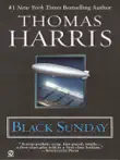 Black Sunday synopsis, comments