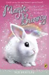 Magic Bunny: Chocolate Wishes sinopsis y comentarios