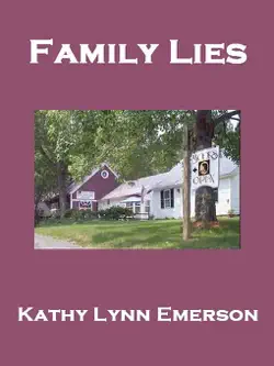 family lies book cover image