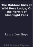 The Outdoor Girls at Wild Rose Lodge, Or the Hermit of Moonlight Falls sinopsis y comentarios