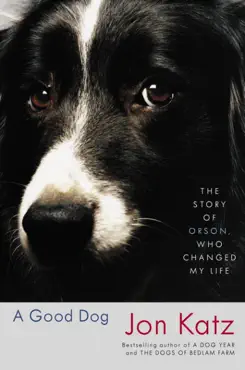 a good dog book cover image