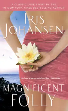 magnificent folly book cover image