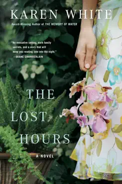 the lost hours book cover image