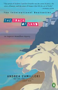 the track of sand book cover image
