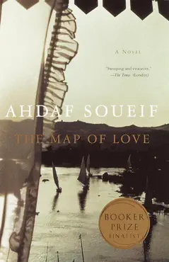 the map of love book cover image