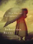 The Secret Scripture synopsis, comments