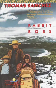 rabbit boss book cover image
