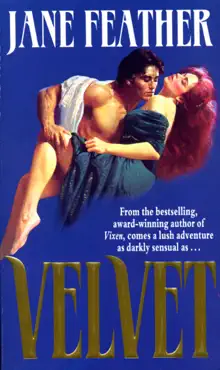 velvet book cover image