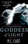 Goddess Of Light sinopsis y comentarios