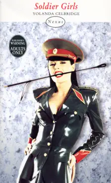 soldier girls book cover image