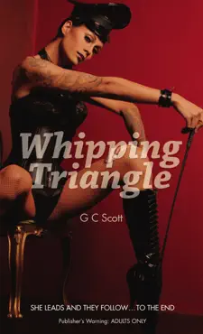whipping triangle book cover image