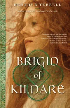 brigid of kildare book cover image