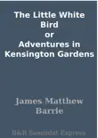 The Little White Bird or Adventures in Kensington Gardens synopsis, comments