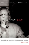 Gypsy Boy book summary, reviews and download