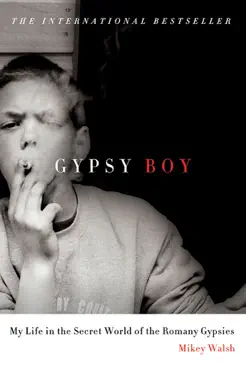 gypsy boy book cover image
