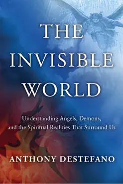 the invisible world book cover image