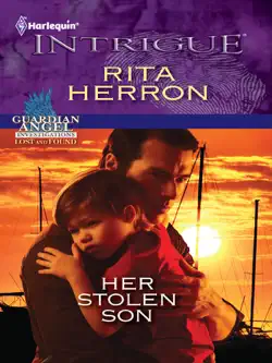 her stolen son book cover image