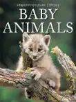 Baby Animals synopsis, comments