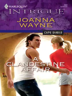 a clandestine affair book cover image