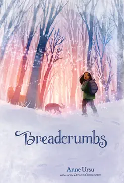 breadcrumbs book cover image