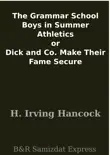 The Grammar School Boys in Summer Athletics or Dick and Co. Make Their Fame Secure synopsis, comments