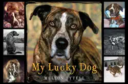 my lucky dog book cover image