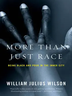 more than just race: being black and poor in the inner city (issues of our time) book cover image