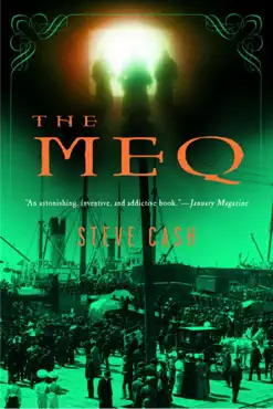 the meq book cover image