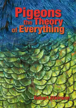 pigeons the theory of everything book cover image