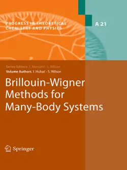 brillouin-wigner methods for many-body systems book cover image