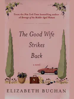 the good wife strikes back book cover image