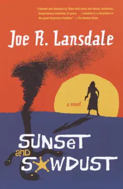 sunset and sawdust book cover image