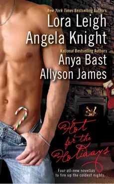 hot for the holidays book cover image