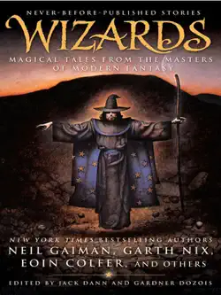 wizards book cover image