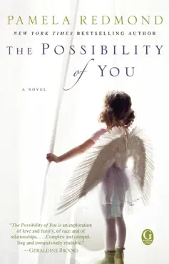 the possibility of you book cover image