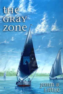 the gray zone book cover image