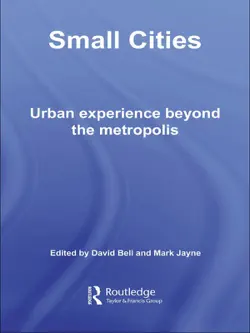 small cities book cover image