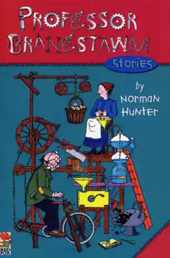 professor branestawm stories book cover image