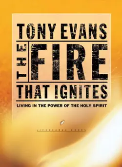 the fire that ignites book cover image
