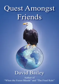 quest amongst friends book cover image